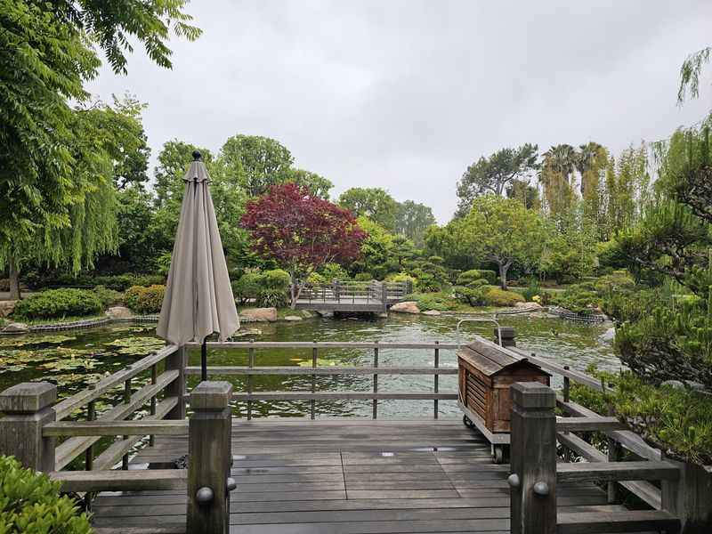 a wooden bridge over a pond with a bench