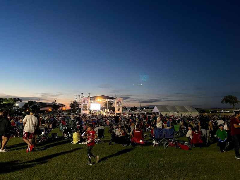 a crowd of people sitting on the grass at night