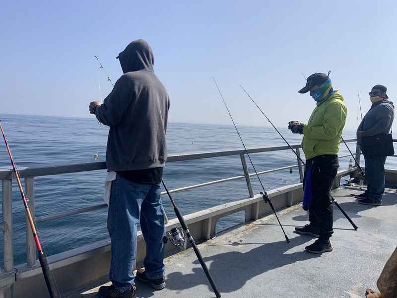 Marina Del Rey Sportfishing