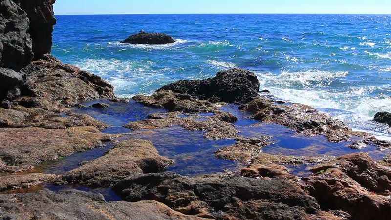 Tide Pools