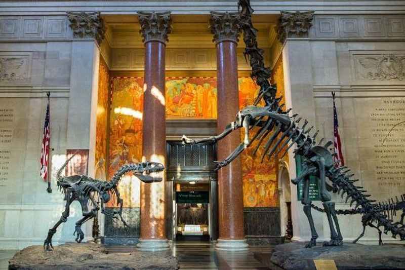 American Museum of Natural History