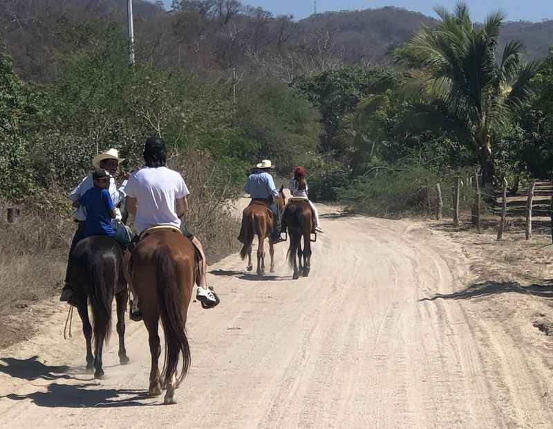 Horseback Riding