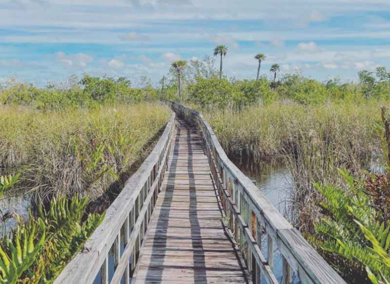 Briggs Boardwalk Nature Center