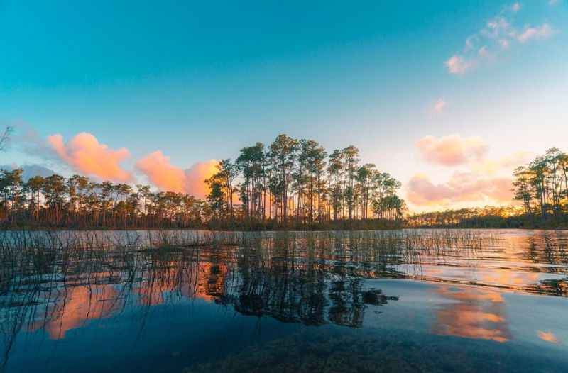 Everglades National Park