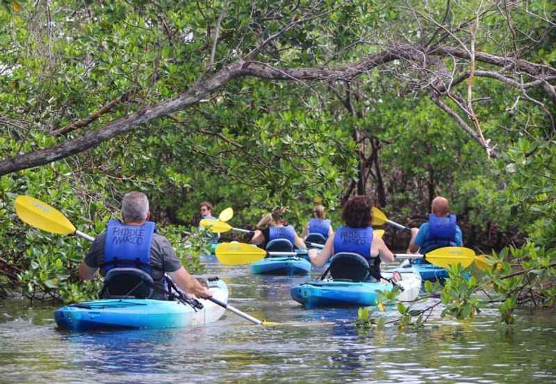 Kayaking in Marco Island and Beyond