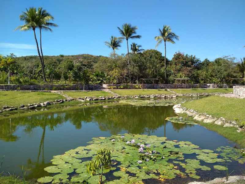 Mazatlan Botanical Garden