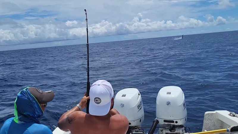 Star Fleet Sport Fishing Charters