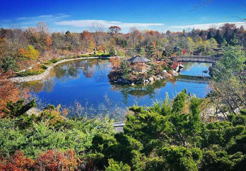 Frederik Meijer Gardens & Sculpture Park