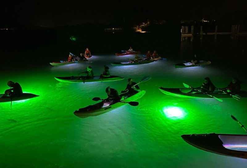 Moonlit Kayak Tour