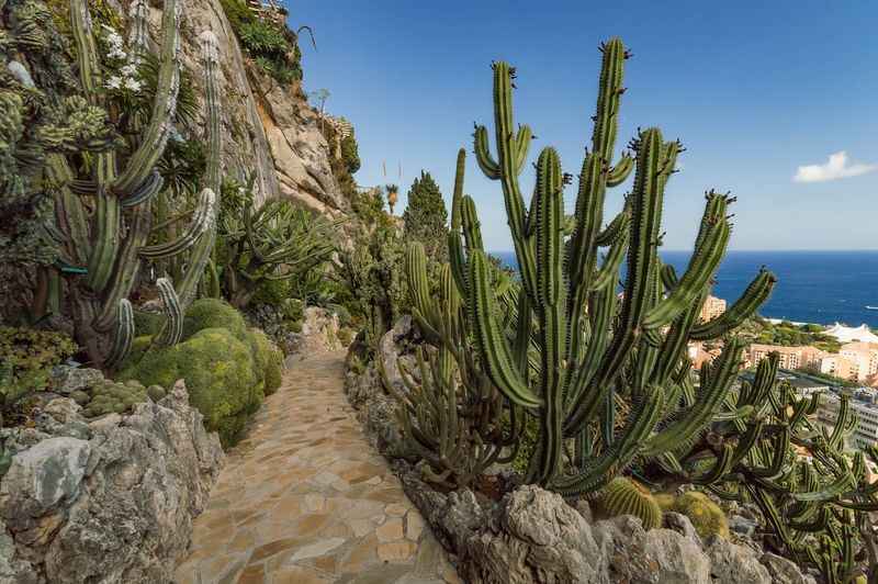 Jardin Exotique de Monaco