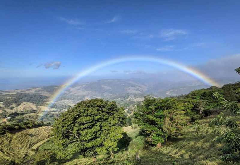 Santa Elena Cloud Forest Reserve