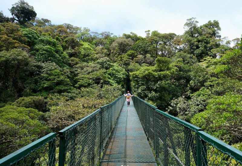 Hanging Bridges at Sky Adventures