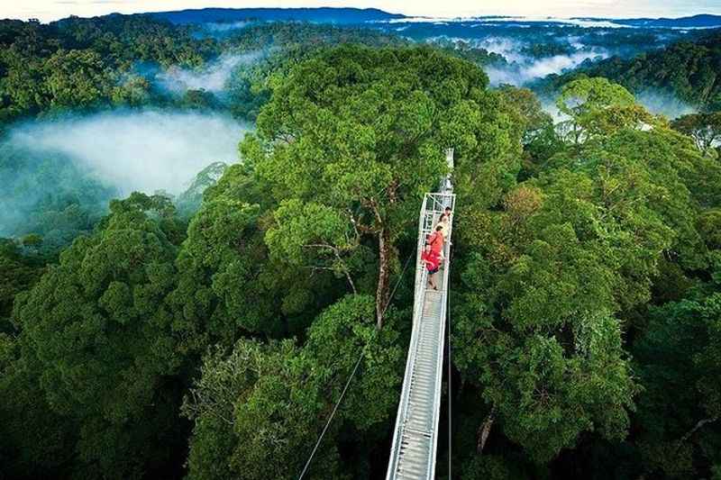 Hiking Monteverde Cloud Forest