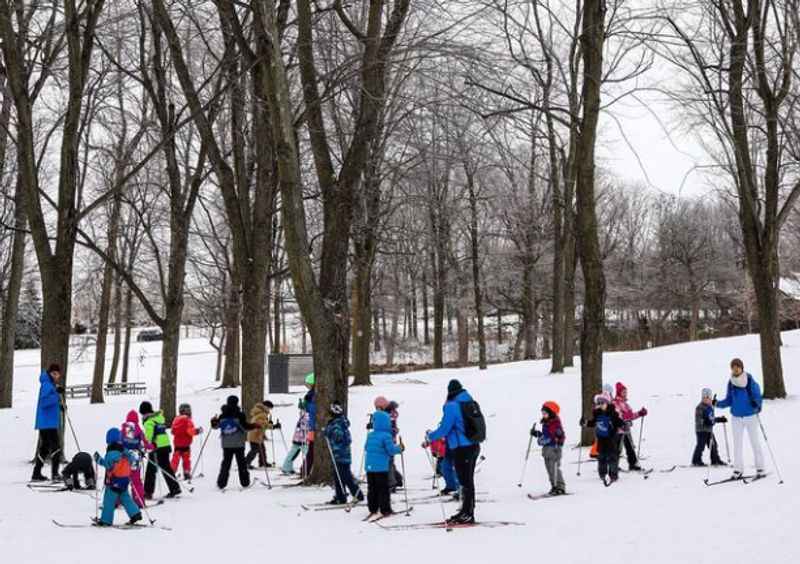 Cross Country Skiing in Mont-Royal Park