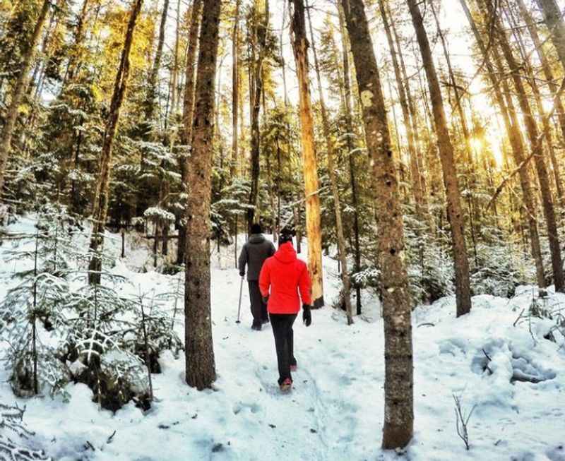 Winter Hiking in Mount Royal Park