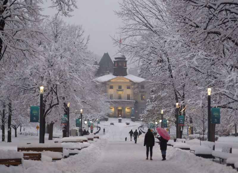 Winter Landscape of Montreal