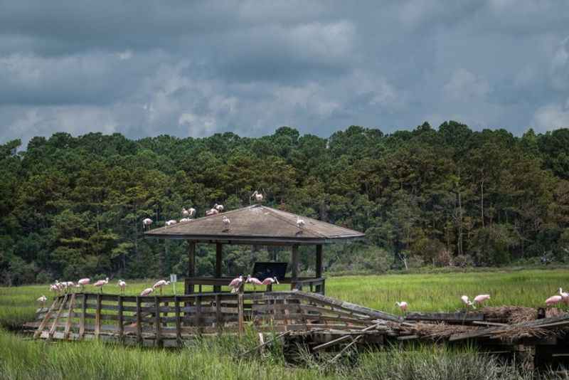 Huntington Beach State Park