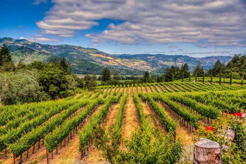 Best Things to Do in Napa