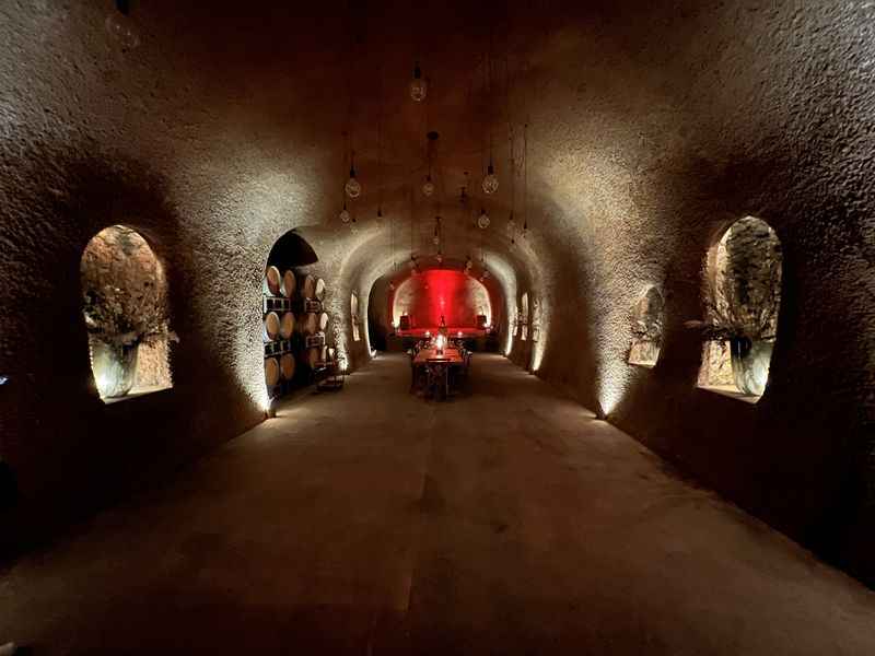 Caves at Clos Pegase