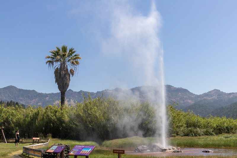 California's Old Faithful