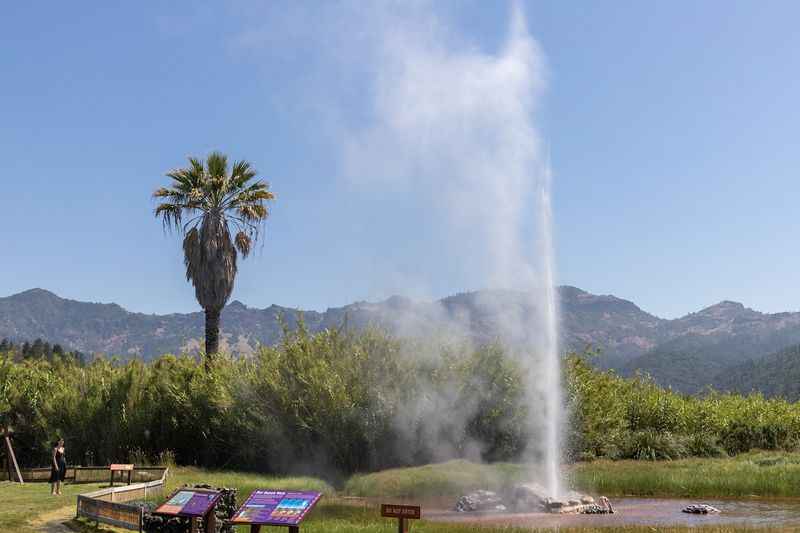 California's Old Faithful