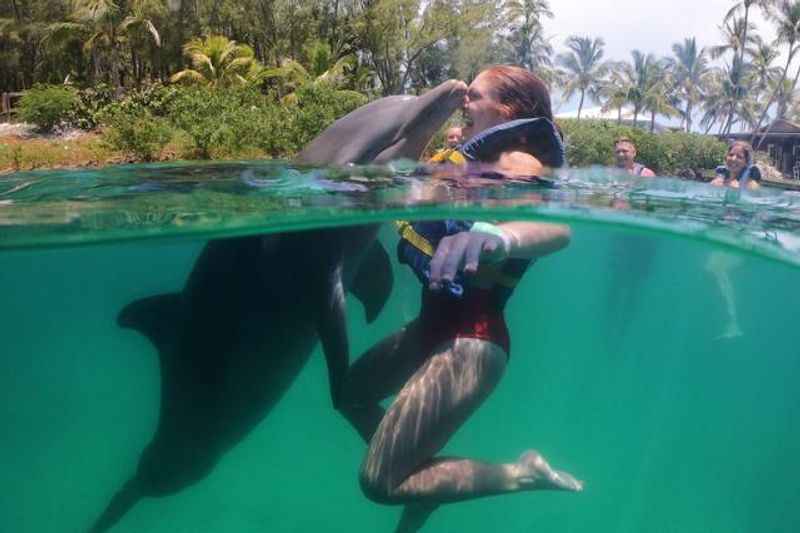 Swim With Dolphins at Blue Lagoon Island