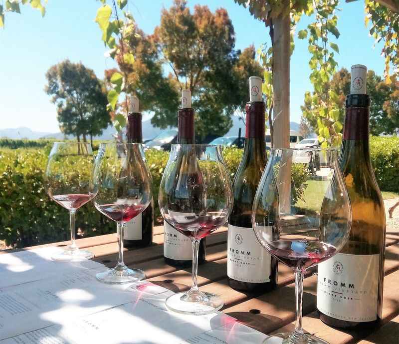 Wine Tasting in the Marlborough Region