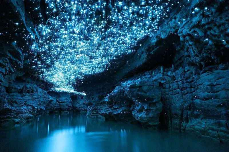 Waitomo Glowworm Caves