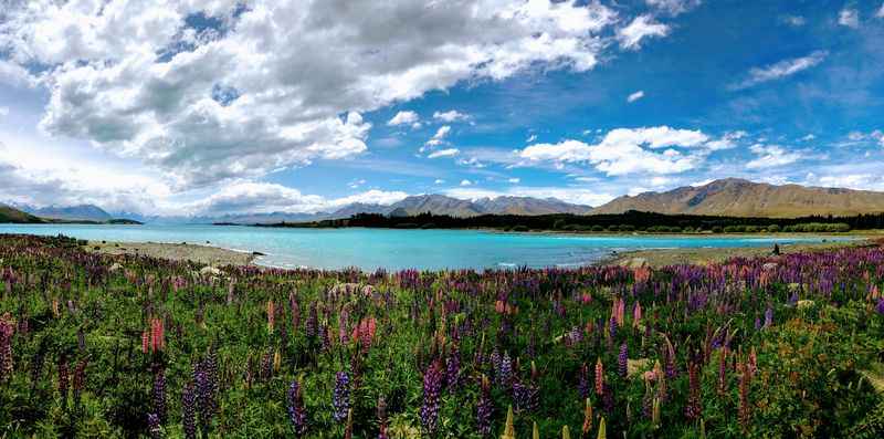 Lake Tekapo