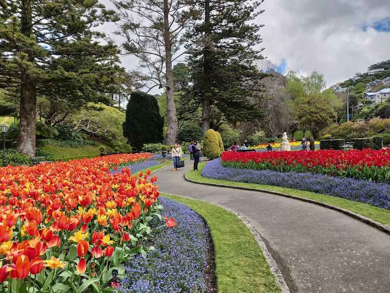 Wellington Botanic Garden