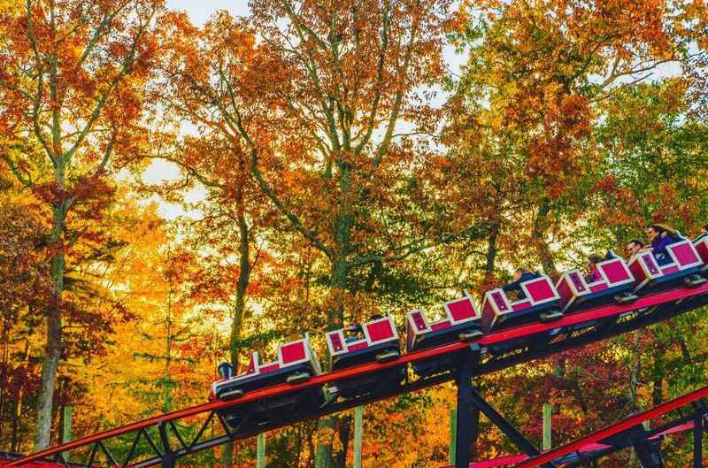 a roller coaster in the fall