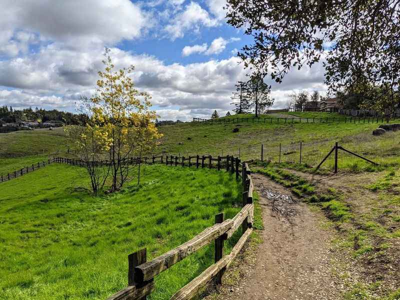 a path that leads to a fenced in field