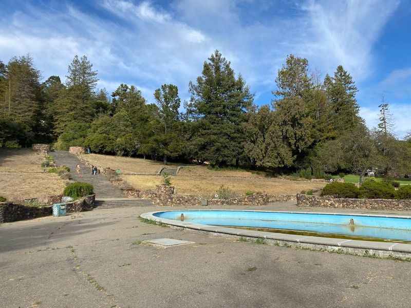 a pool surrounded with trees 