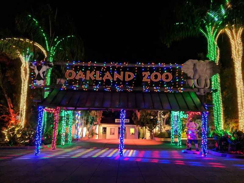 a zoo entrance with colorful lights