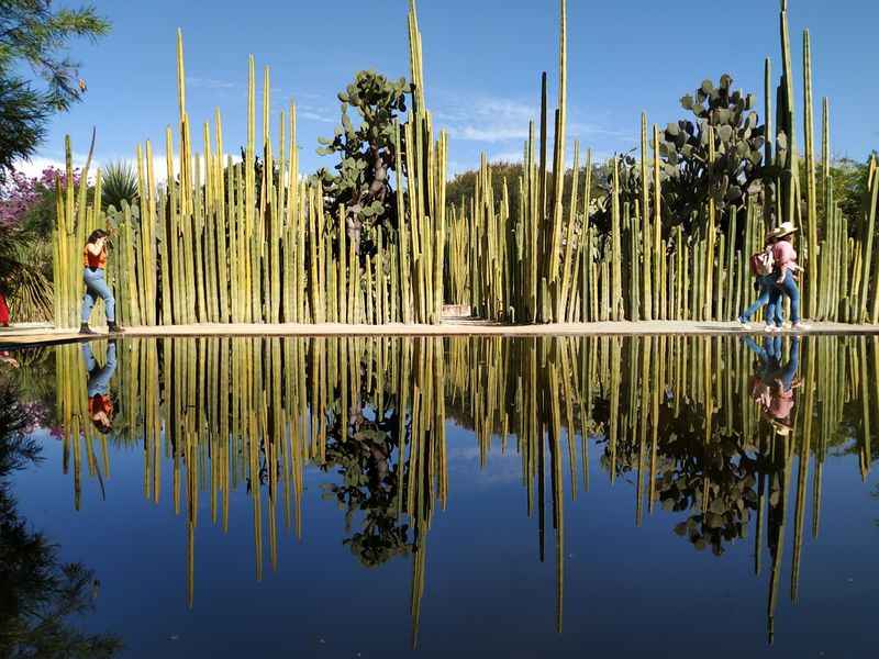 Jardín Etnobotánico de Oaxaca