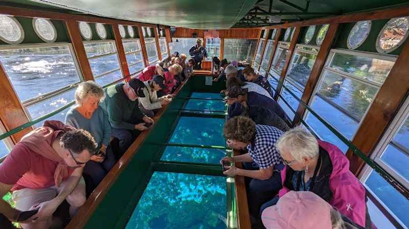 Glass Bottom Boat Tours at Silver Springs