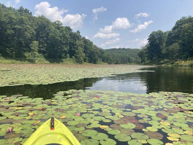 Lake Hope State Park