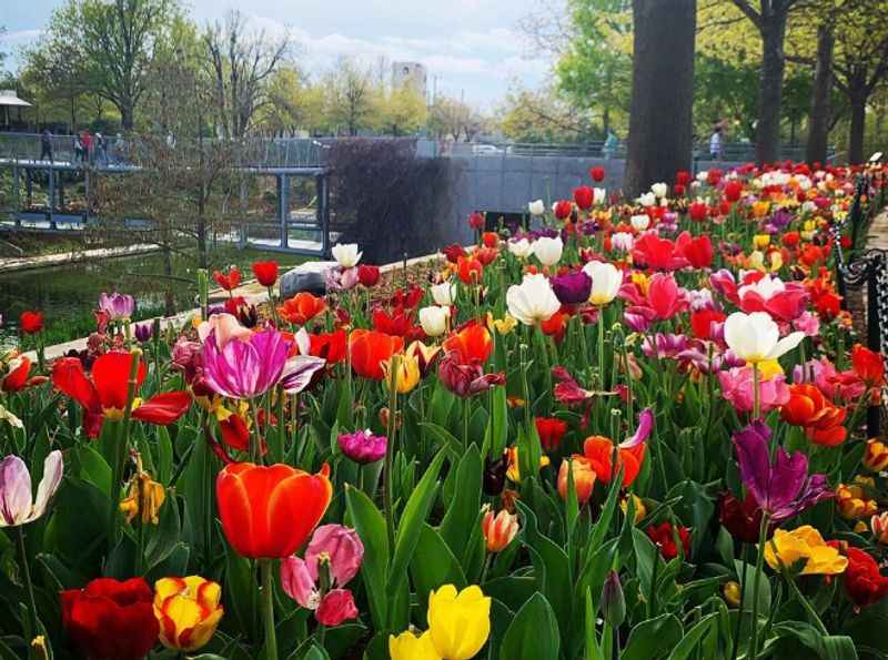 Myriad Gardens