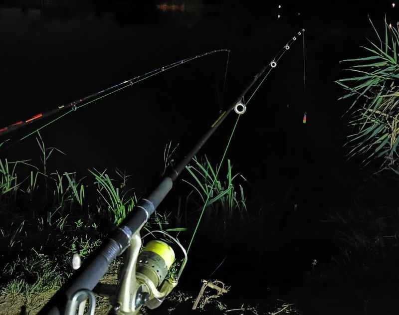 a fishing rod with a fishing rod and a fishing rod