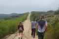 Hike in Crystal Cove State Park