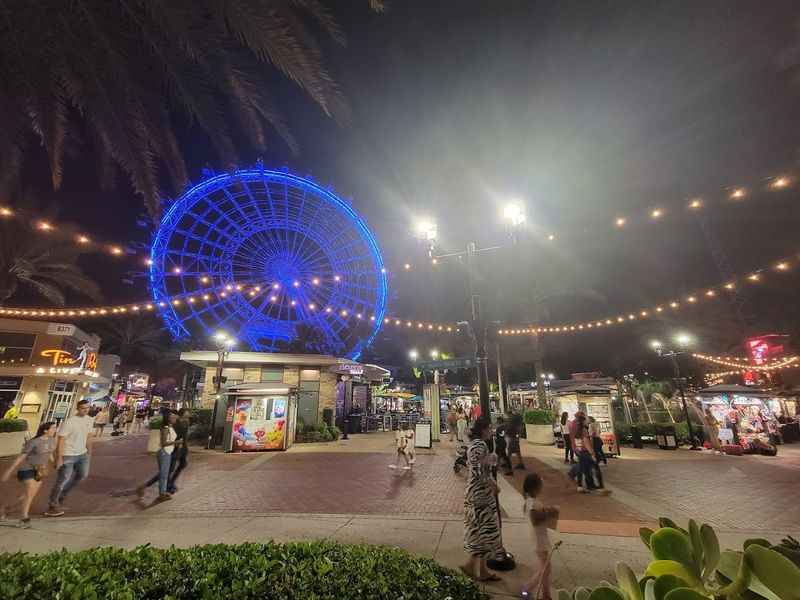 the ferris at night at the disneyland world