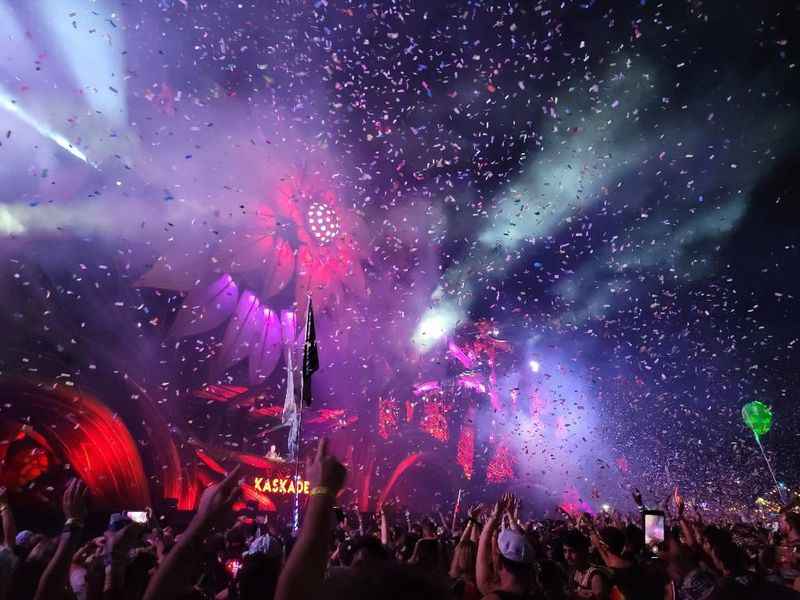 a crowd at a concert with big flower as background