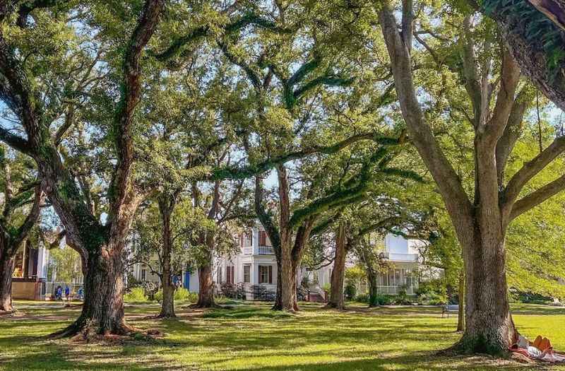 Audubon Park Garden District