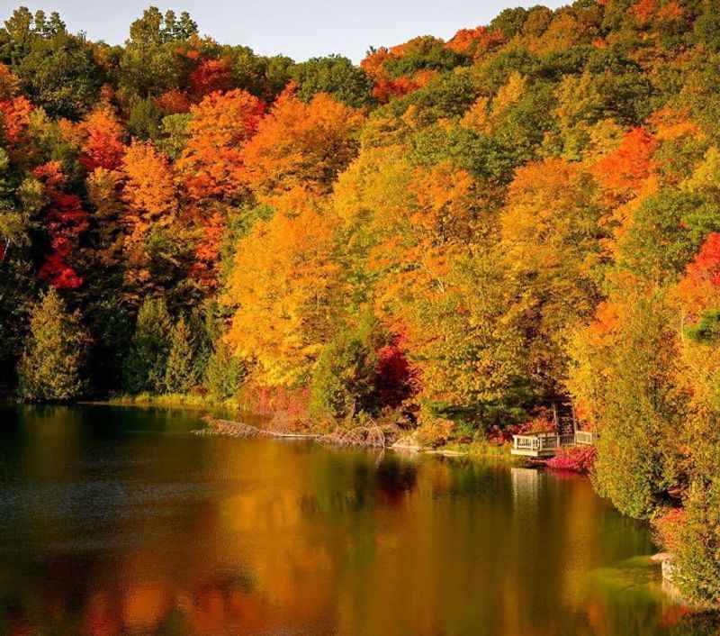 Gatineau Park