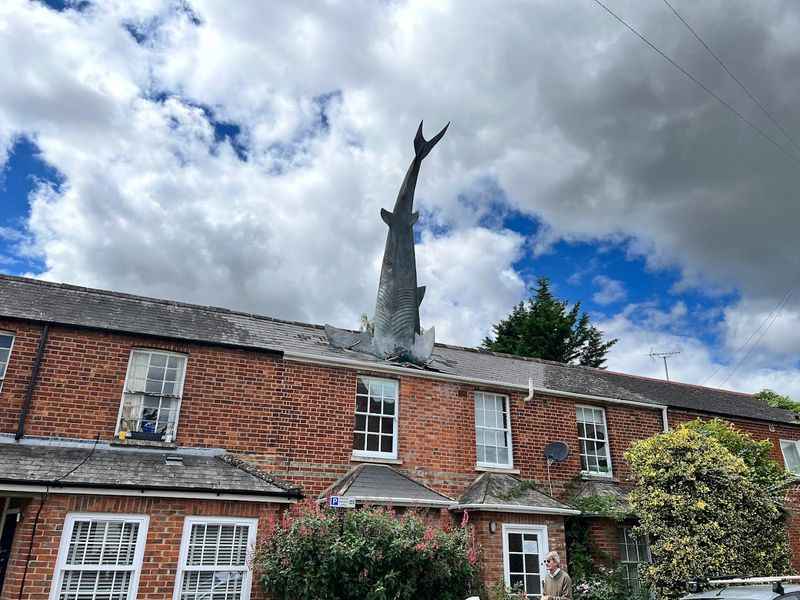 Headington Shark