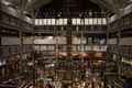 Pitt Rivers Museum