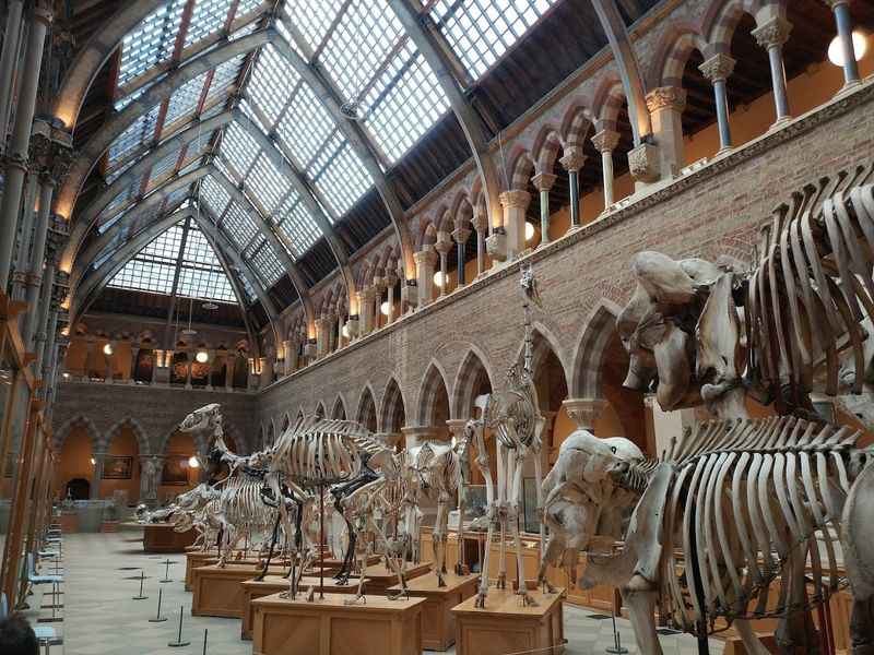 Oxford Museum of Natural History