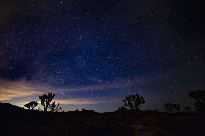 Joshua Tree National Park