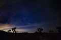 Joshua Tree National Park