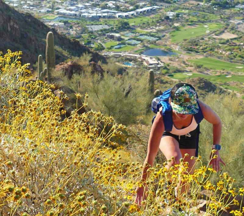 woman climbing up the mountain surrounded with yellow flowers